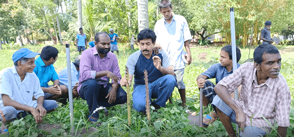 WRI India team training the differently abled for tree planting and maintenance at Cothalango brothers care home, Palluruthy.