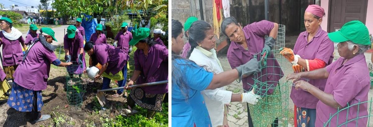 Planting drive by Kudumbashree volunteers at Palluruthy public crematorium where they cleared debris, planted samplings and prepared tree guards.