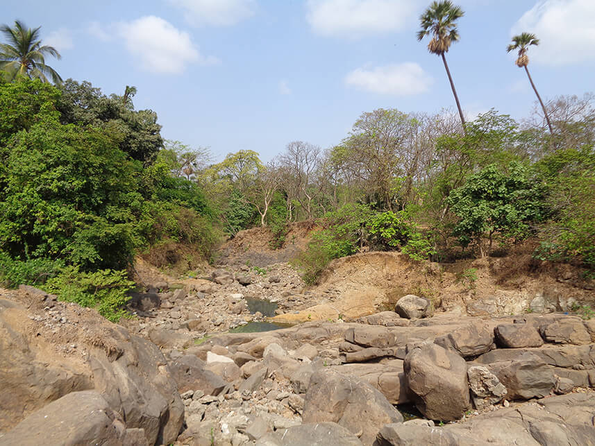 The dry bed of the Mithi river at Vihar Lake outfall.