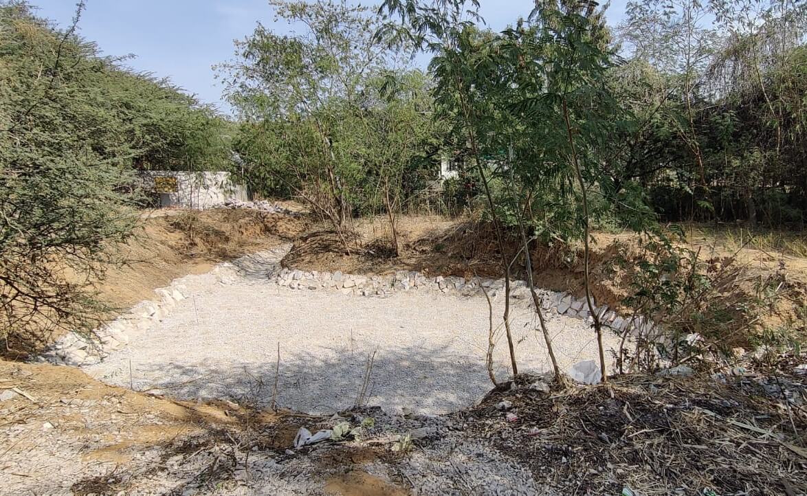 A water body restoration site inside the Harish Chandra Mathur Rajasthan State Institute of Public Affairs (HCMRIPA) campus.