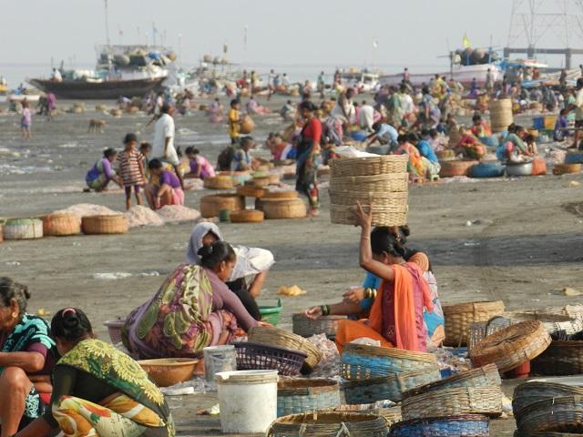As India rapidly urbanizes and climate change progresses, coastal villages–like Arnala–struggle to keep traditional industries alive. Photo by World Resources Institute
