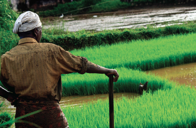 Financing Agricultural Resilience