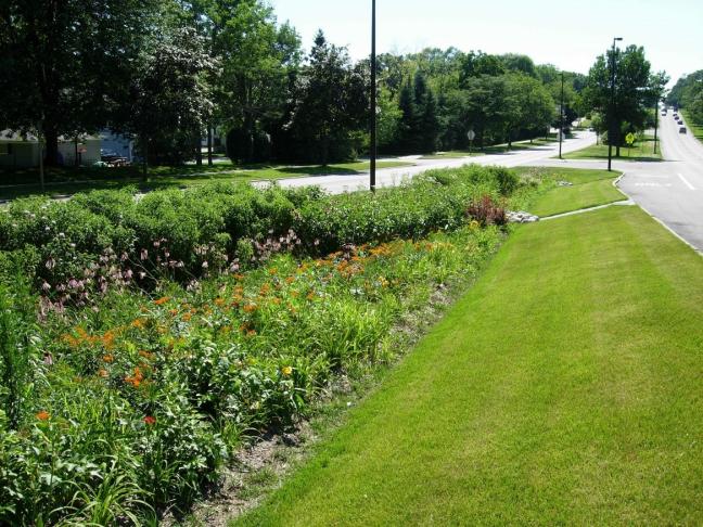 Bioswale in median of road infrastructure in Wisconsin for stormwater management