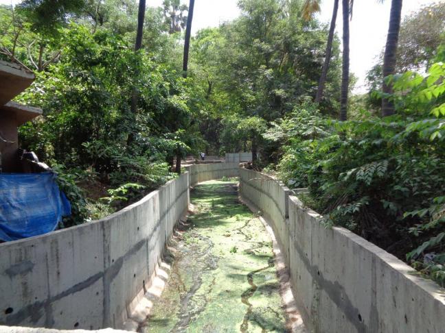 Water channel conveying overflow from Powai Lake to the Mithi River