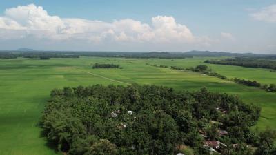 Land restoration can lead to food and livelihood security for marginal farmers and forest-dwelling communities
