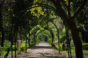 Cubbon Park, Bangalore. Photo by Pasqualino Capobianco/Unsplash.