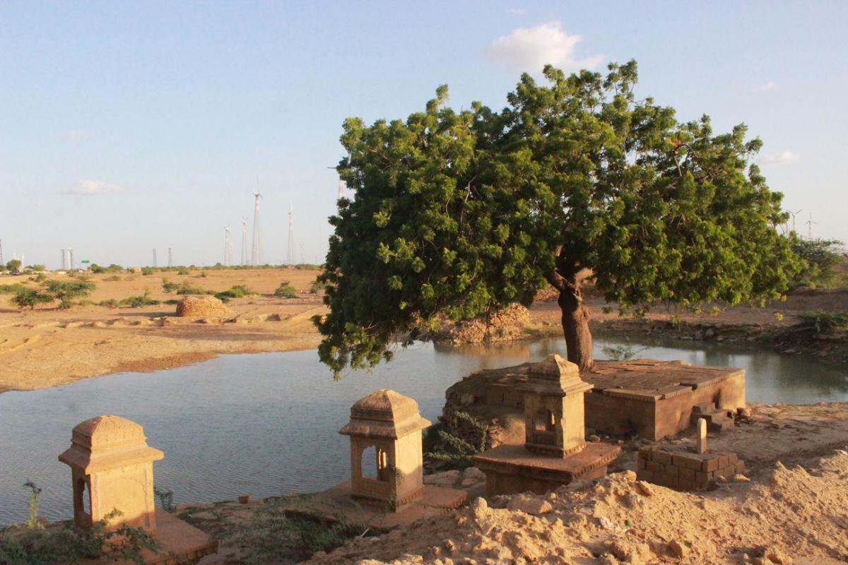 A sight for sore eyes: Rainwater collection pond adorned by cenotaphs and trees, Jaisalmer.