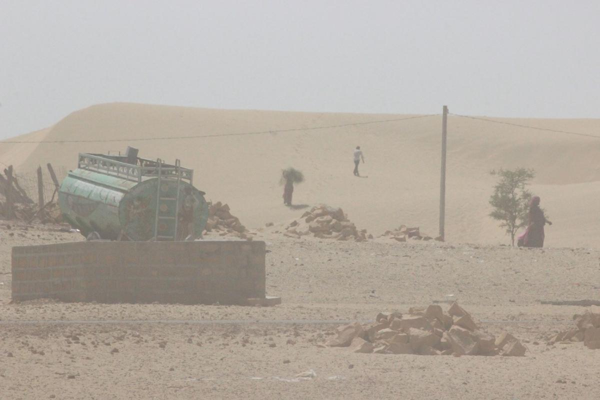 Sandy winds: fetching fodder for livestock in the middle of a sandstorm.