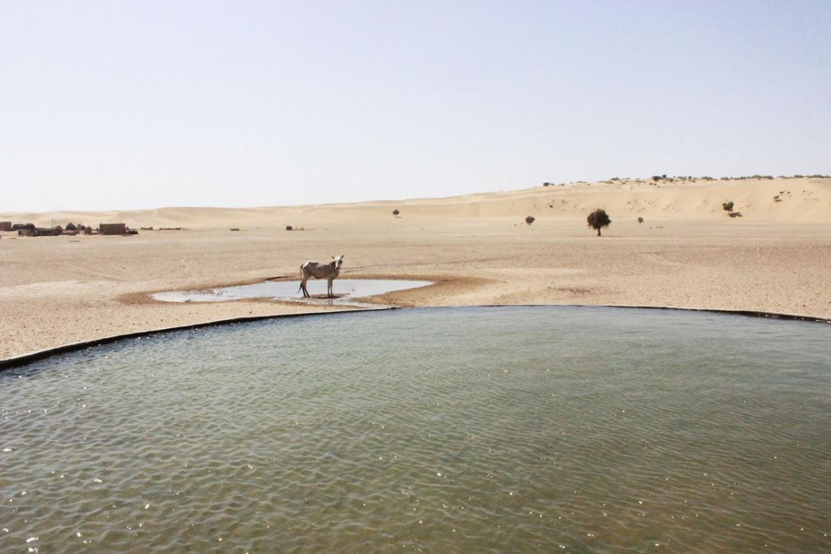 Human-made oasis: water troughs for livestock