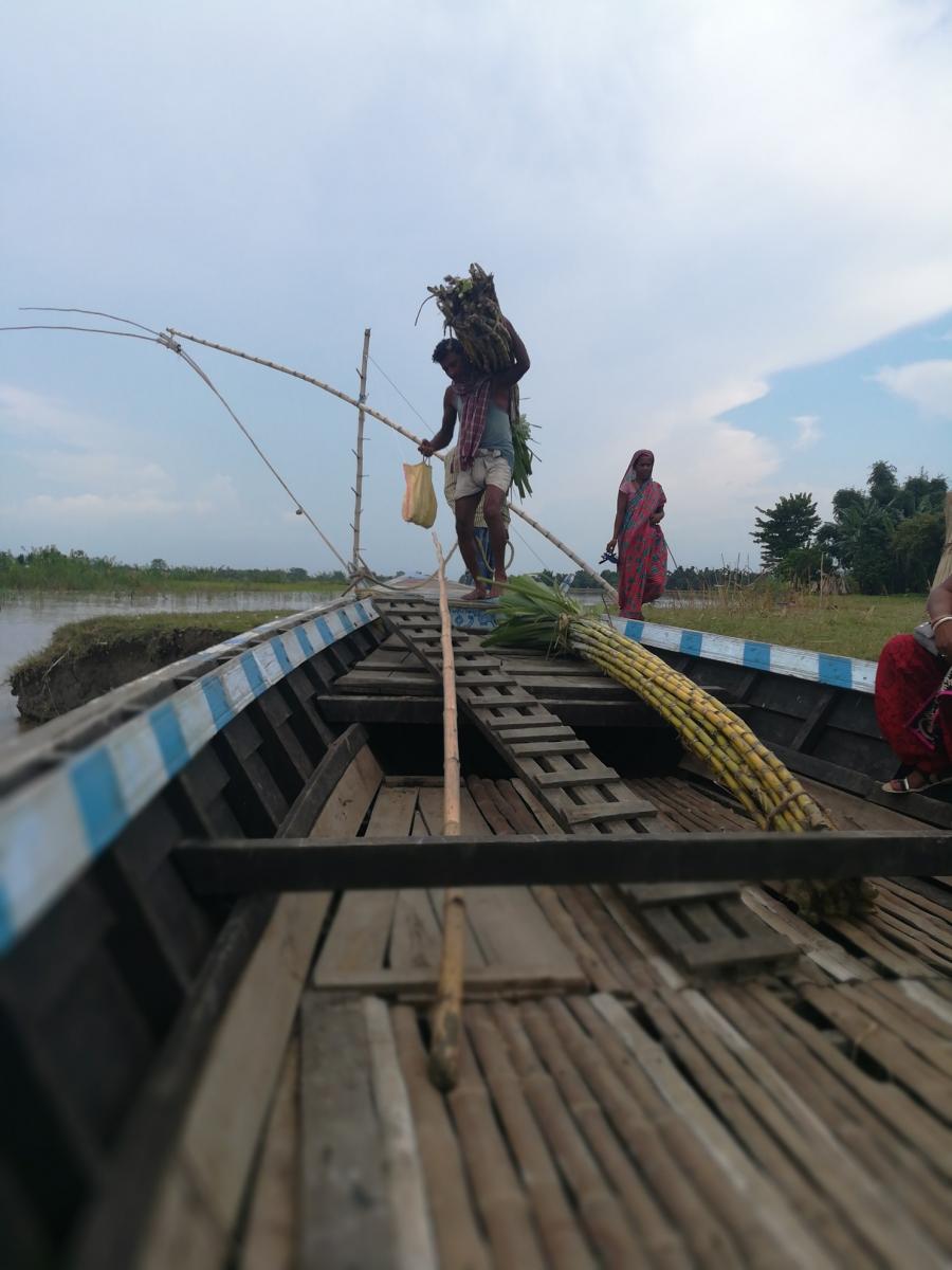 Sugarcane harvest transported by boat