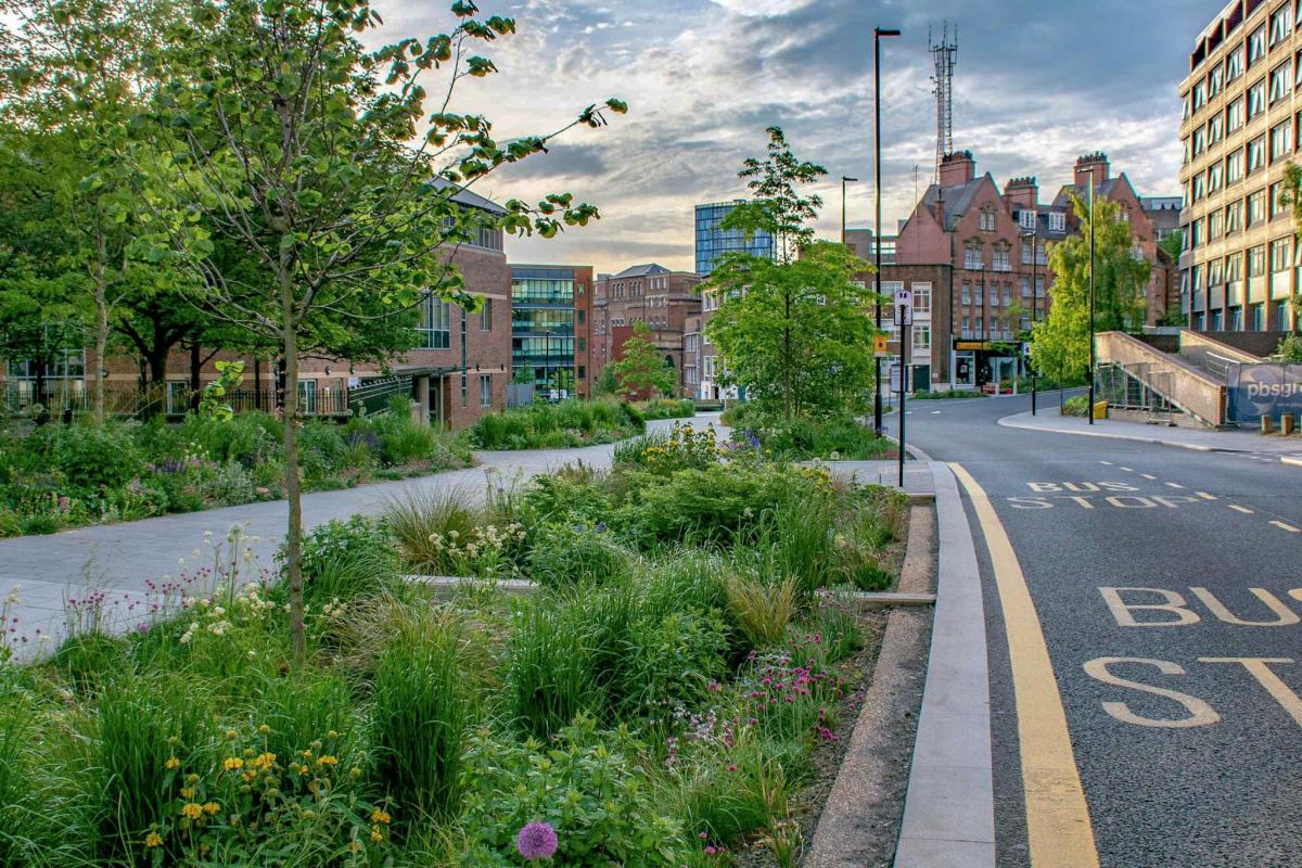 Green street section in Sheffield with permeable lane surfaces, planters, rain gardens to enable stormwater management.