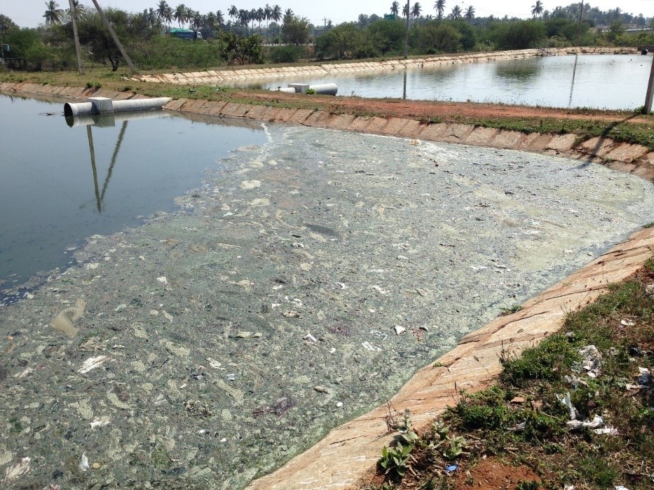 Wastewater treatment facilities in most towns are rudimentary, as shown here. Photo by Vittal Boggaram/WRI Wastewater treatment facilities in most towns are rudimentary, as shown here. Photo by Vittal Boggaram/WRI